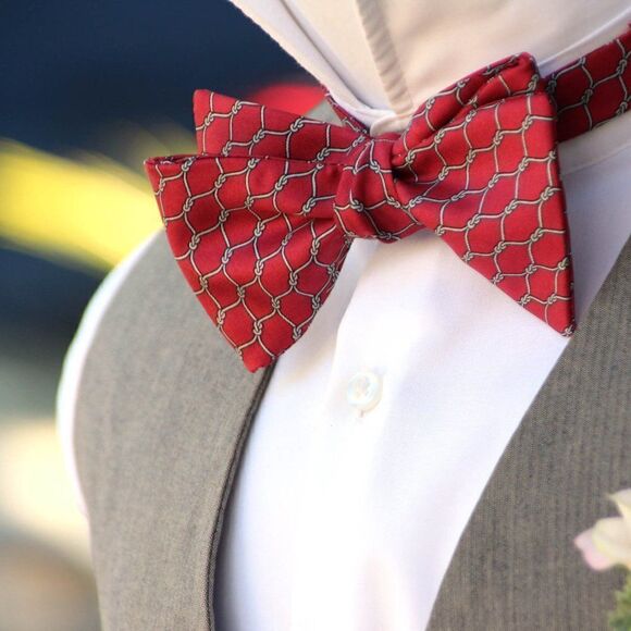 NWT Men's bow tie Silk Self-tied Gift Box S444